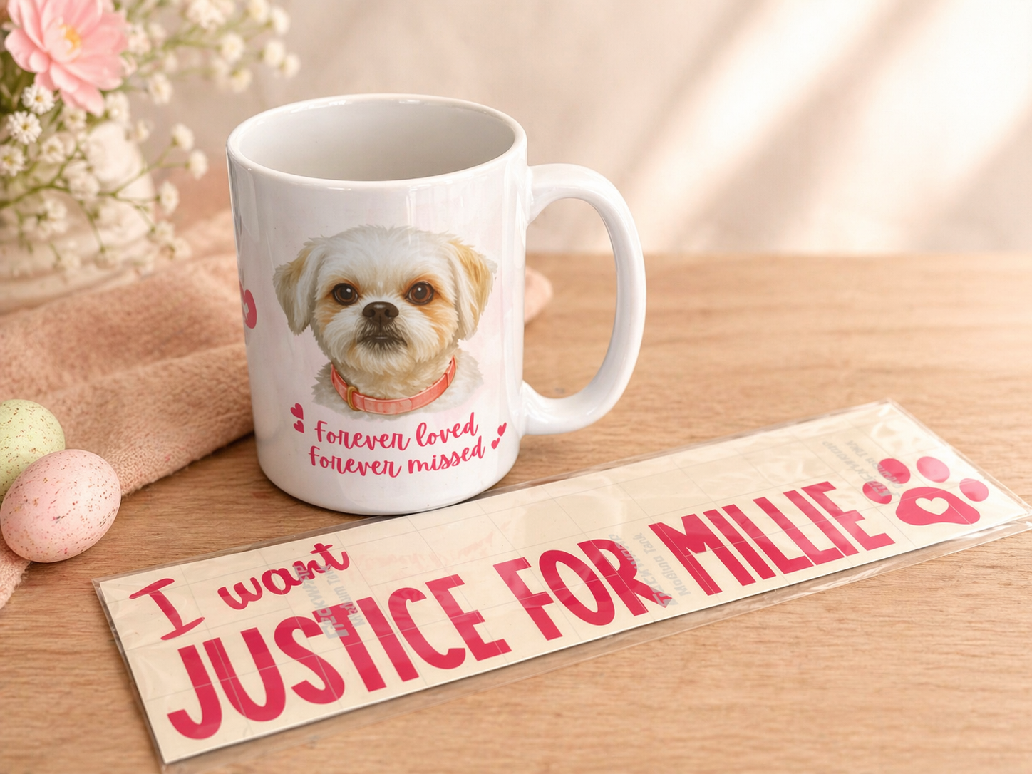 Justice For Millie