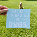Easily distracted by dogs