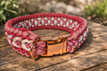Custom Pink Collar