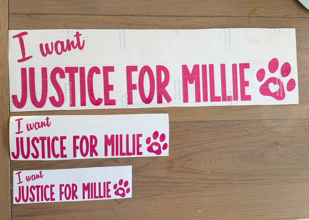 I want Justice for Millie